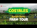 Costales nature farm   farm tour