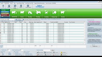 Overview of Select Sheepware