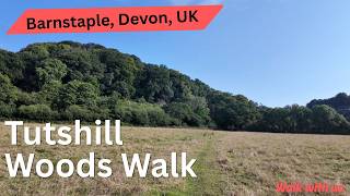 A Summer Woodland Walk in North Devon - Tutshill Wood, Barnstaple | Devon. UK (2025)