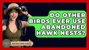 Do Other Birds Ever Use Abandoned Hawk Nests? - Bird Watching Diaries