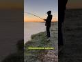 Resumen de san Pedro #pesca #fishing #pescadedorados #pescar