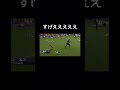 このイッヌ早すぎるw