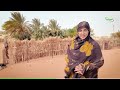 شنقيط …إرث تاريخي يساير العصرنة
