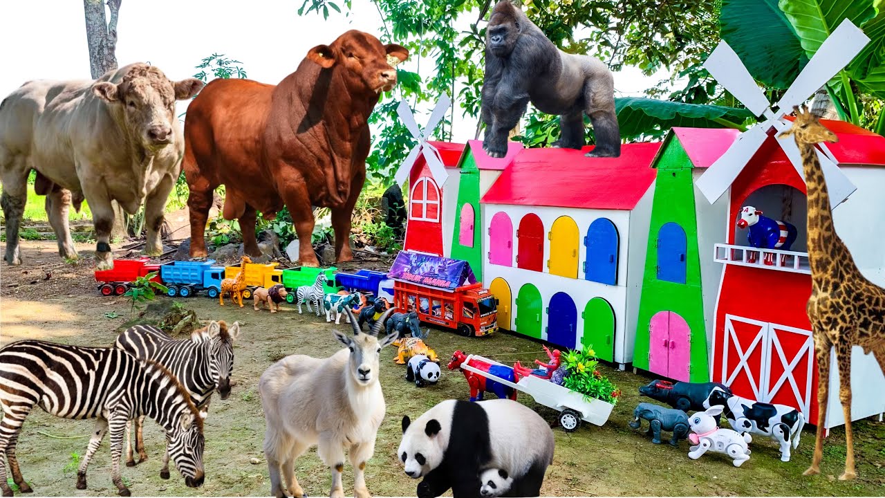 Wadidau‼️proses potong sapi lucu|sapi melahirkan cesar,simulasi kurban,cow,Sheep,buffalo,lion,panda