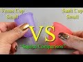 Venus Cup vs Saalt Cup SM &#39;Squish&#39; - Menstrual Cups