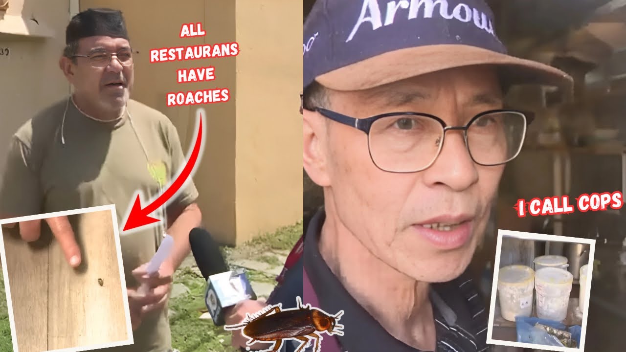 Filthy roach infested restaurants caught on camera - YouTube