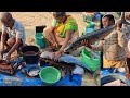 King size surmai fish cutting on malvan beach fish auction kokan