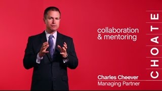 Collaboration & Mentoring
