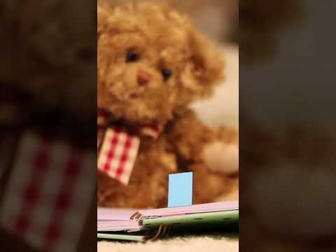 Почему в СССР переучивали левшей на правшей