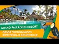 Лучшие отели Доминиканы: обзор гостиничного комплекса в Доминикане Grand Palladium Resort