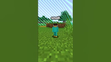 BEST Java/Bedrock Minecraft Server 🔎#minecraft #minecraftserver