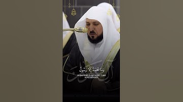 قبس من تراويح ليلة ٥ رمضان ١٤٤٦هـ | تلاوة فضيلة الشيخ د.ماهر بن حمد المعيقلي