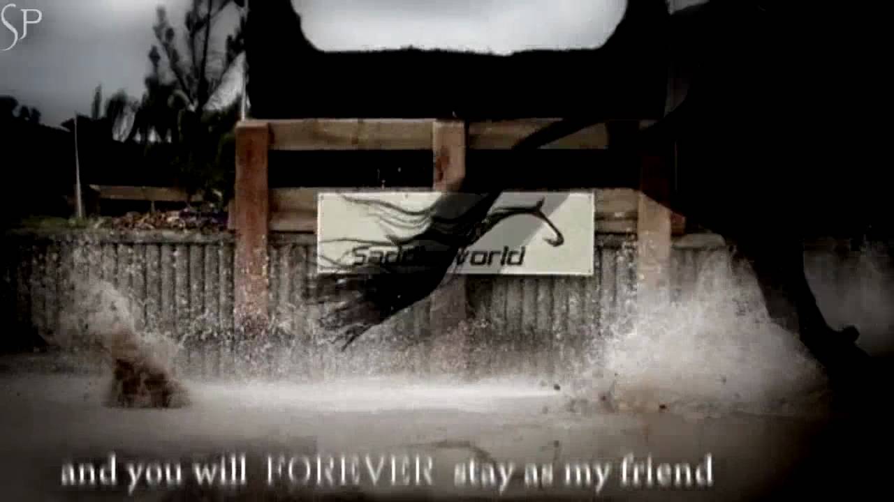 Horse Rider Trust Me With Your Heart Youtube Horse Rider Trust Me With Your Heart Youtube