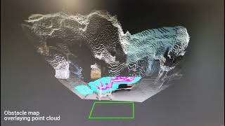 Local costmap demo (obstacle detection)