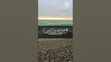 سورة التكاثر القارئ يوسف المعمري