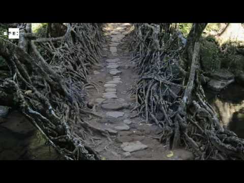 Video: Un viaje a través de las colinas