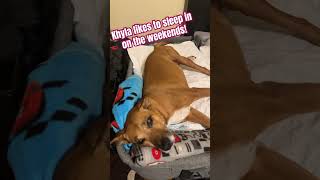 Khylas Not One For Early Weekends