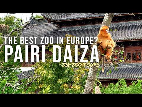 Pairi Daiza Tour | The Best Zoo in Europe?