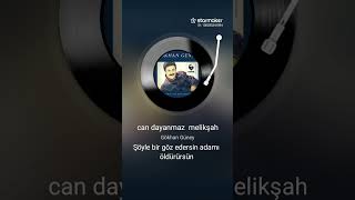 Can Dayanmaz (Seslendiren Zekeriya Nevruz Demir)