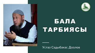 картинка: Садыбакас ажы Доолов. Аксы району Кызыл-Капчыгай айылы. Тема: БАЛА ТАРБИЯСЫ.