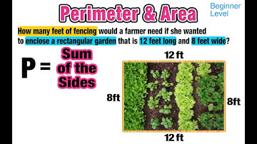 Using Area and Perimeter in Real Life