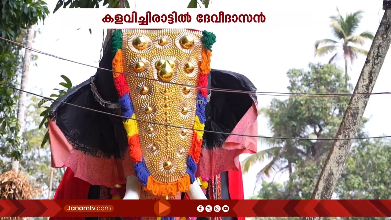 എട്ടരയടി പൊക്കമുള്ള ദേവീദാസൻ; കാഴ്ചക്കാർക്ക് വിസ്മയമായി പെരിഞ്ഞനത്തെ ആന | ELEPHANT | DEVIDASAN