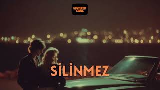 Silinmez Synthetic Soul (Cover)