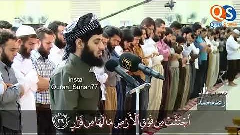 أرِح مسمعك قليلاً مع تلاوة رائعة تبعث لك الهدوء والطمأنينة القارئ رعد الكردي