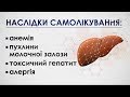 Лікування печінки народними методами: лікар-гастроентеролог розвінчує міфи