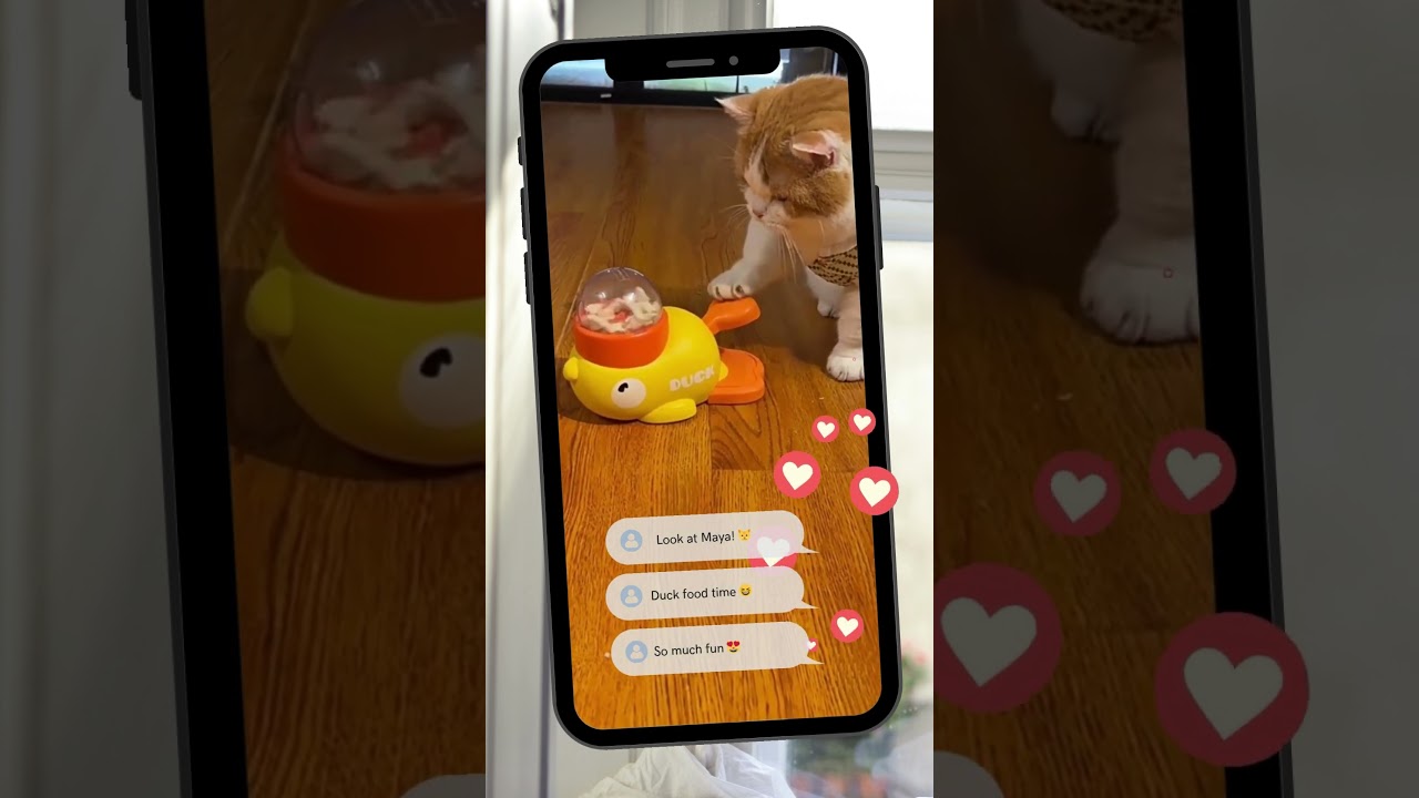 Can Your Cat Beat the Duck Puzzle? 🐱🦆