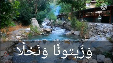 سورة عبس # تلاوة عراقية # د. طارق العجيلي
