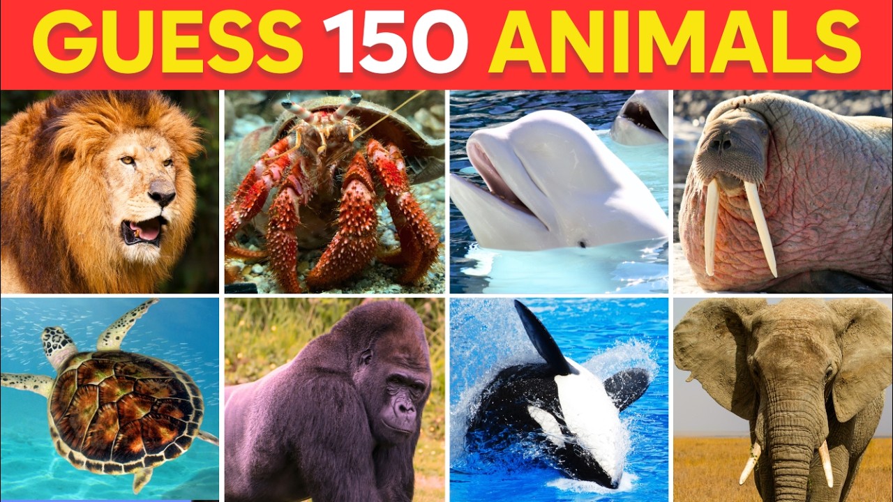 Guess 150 animals in 3 seconds| Easy/ Medium/ Hard and Impossible level ...