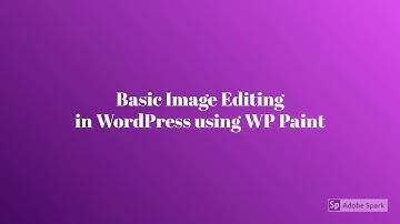 Basic Image Editing in WordPress using WP Paint Plugin