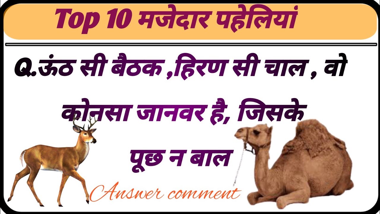 Top 10 मजेदार पहेलियां Rs gk study 🙏#generalknowledge comments - YouTube