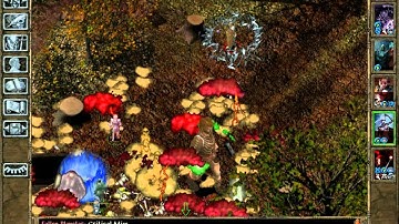 Playing Evil in the BG Series - Yaga Shura