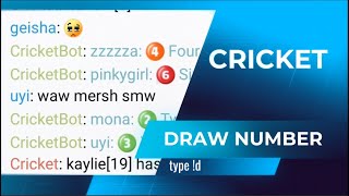 Miggi Cricket Game screenshot 3