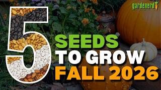 Fall Vegetable Seeds To Try This Cool Season