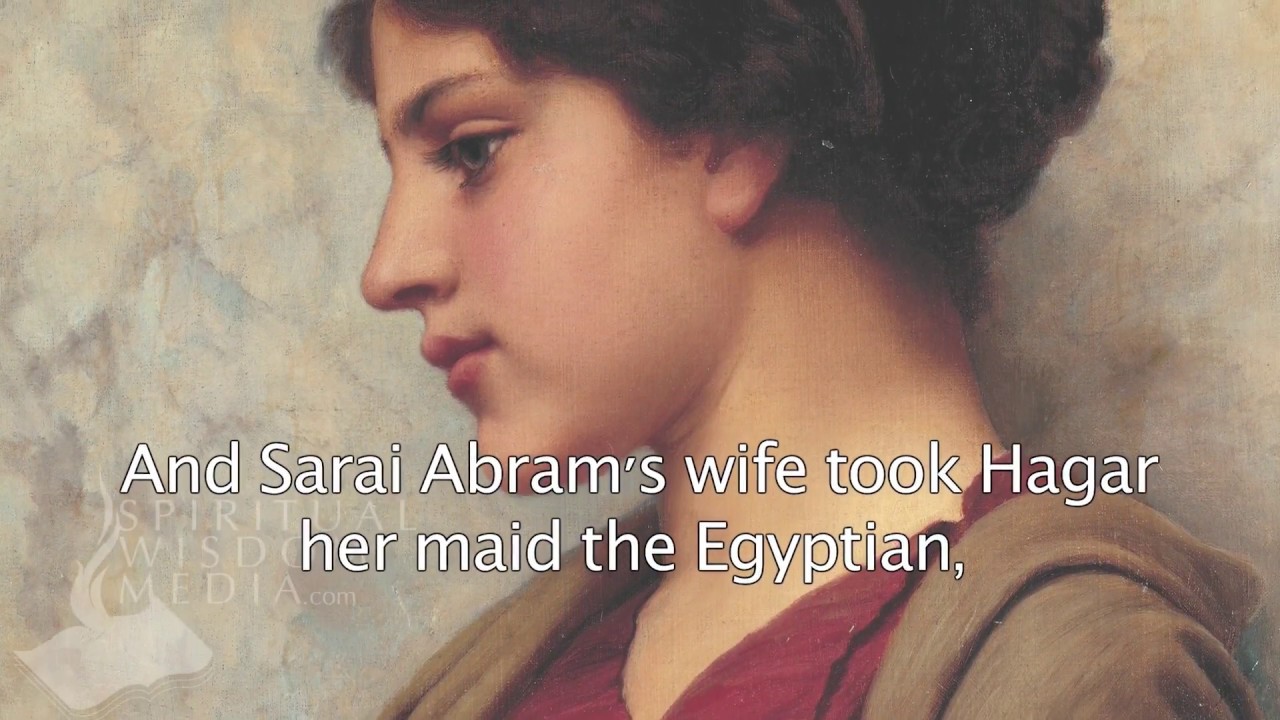 Genesis 163 And Sarai Abram's wife took Hagar her maid the Egyptian