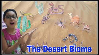 the desert biome || biome school project || hadia's fun drive || short video || diy project on biome
