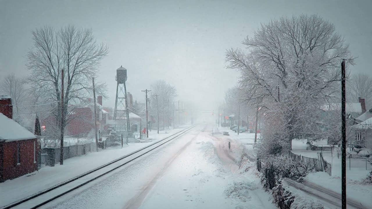 PodCast ¡Elon Musk y el Apocalipsis Digital | Cuando un Tuit Puede Derribar el Mundo!