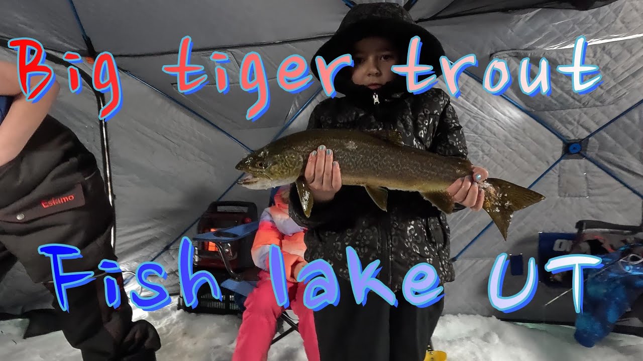 when the kids out fish the adults fish lake Utah ice fishing YouTube