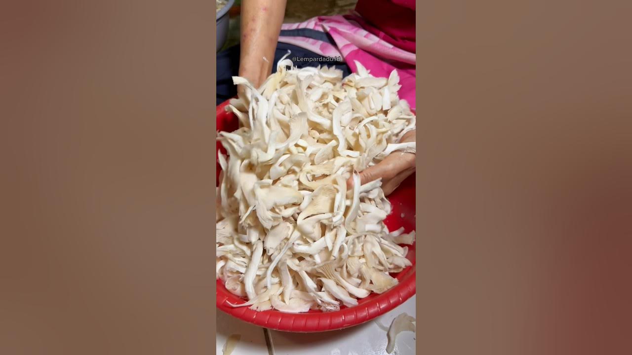BERAWAL DARI 2KG BISA 50KG ‼️🏡JAMUR CRISPY JOGJA☎️INFO PEMESANAN WA - 087865211043 #kuliner #foodie BERAWAL DARI 2KG BISA 50KG ‼️🏡JAMUR CRISPY JOGJA☎️INFO PEMESANAN WA - 087865211043 #kuliner #foodie