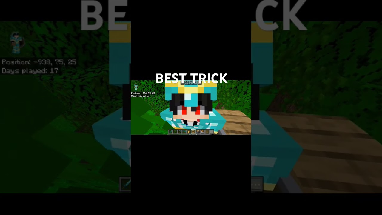 Best trick Minecraft 