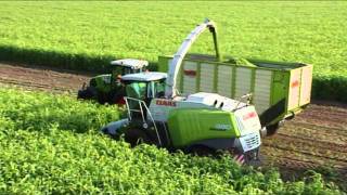Claas Jaguar  Direct Disc