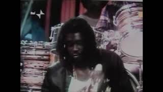 Peter Tosh - 'Reggae Mylitis' - Traduzido - PT/BR