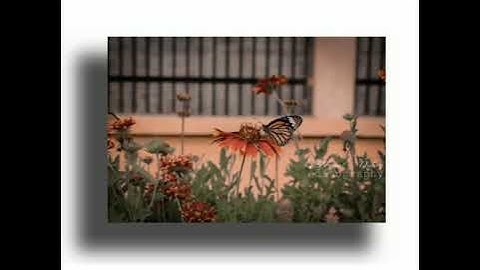 #picsart #instagram instagram viral 3d effect || shadow behind the image || PicsArt tutorial