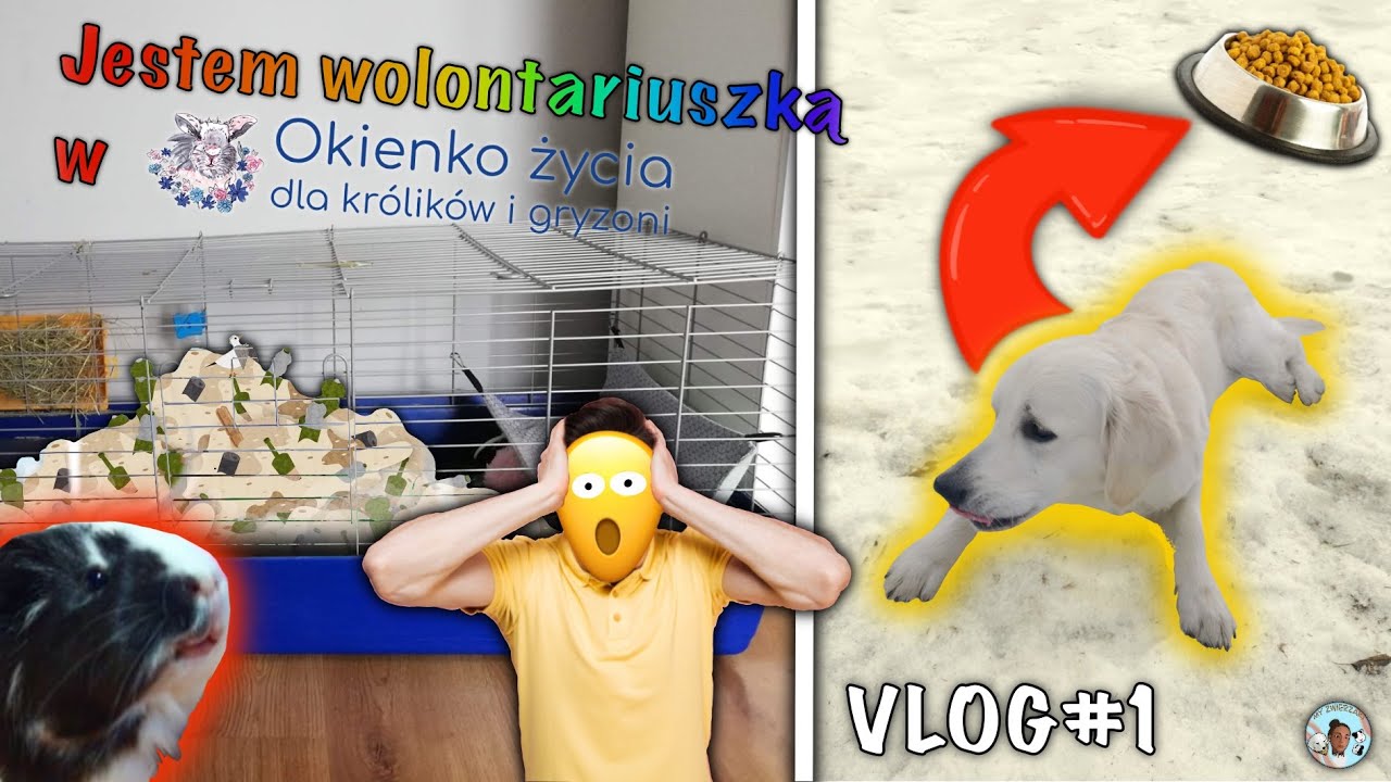 NASZA CODZIENNA RUTYNA☀️⏰