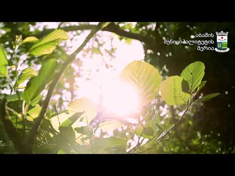 წყემი, აბაშის მუნიციპალიტეტი