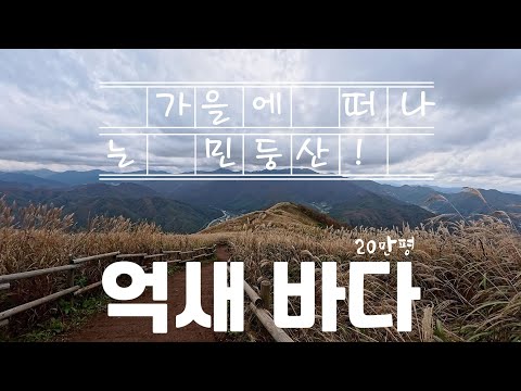 20万坪芒草群落_秋季Mindungsan_喀斯特洼地 | 公共交通一日游 | TravelKorea | 火车旅行