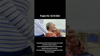Os justos florescerao como a palmeira Salmo 92 12 14 NVI shorts